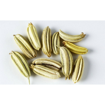 Fine Natural Fennel Seeds